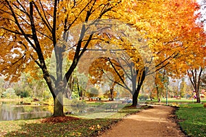 Midwest nature background with park view