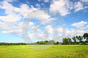 Midwest Prairie Scenery