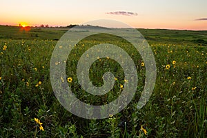 Midwest Prairie photo