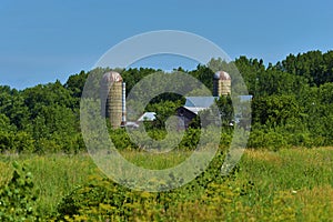 Midwest southern wisconsin overgrown farm scene