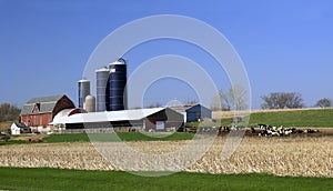 Midwest USA Dairy Farm