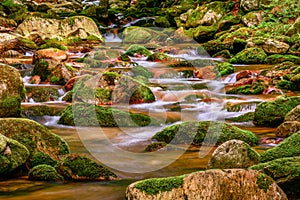 Miedzygorze, a mountain river with rushing water. The water flows down the trough between the moss-covered rocks