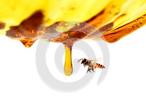 Miel en verre avec l`abeille. photo