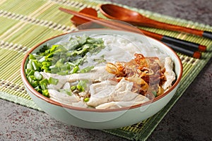 Mien Ga is a super simple and delicious Vietnamese chicken soup with cellophane noodles closeup on the bowl. Horizontal