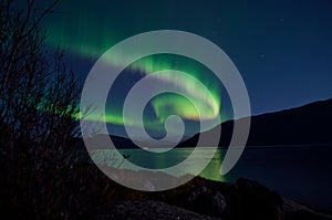 Mighty aurora borealis dancing on night sky over mountain and fjord landscape