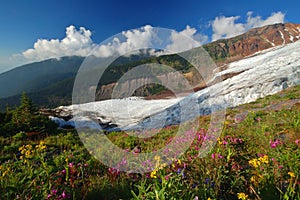 Mighty glacier in summer