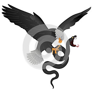 The mighty mountain eagle torments a big black snake