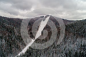 The mighty mountains and their forests in winter