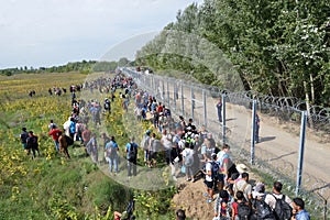 Migrants from Middle East waiting at hungarian border