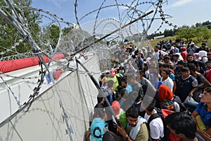 Migrants from Middle East waiting at hungarian border