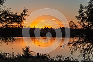 Migrating birds on the lake at dusk with ripples on the lake