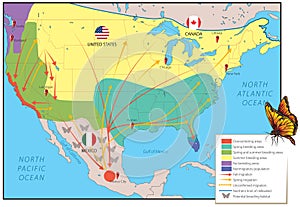 Migration map - monarch butterfly