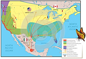 Migration map - monarch butterfly photo