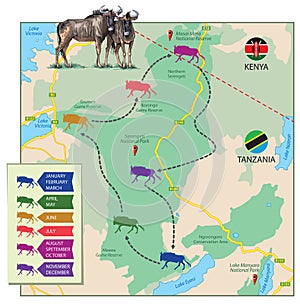 Migration map - wildebeest