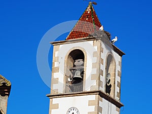 Migratory birds on a bell tower, ivars, lerida, spain, europe