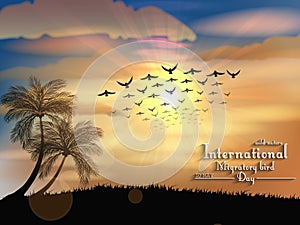 Migratory birds day in sunset light photo