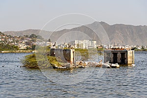 Migratory Pelican birds on Lake Anasagar in Ajmer. India