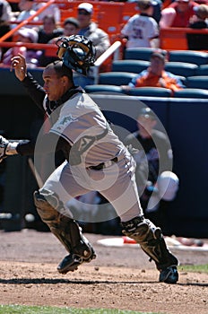 Miguel Olivo, Florida Marlins