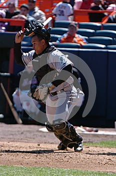 Miguel Olivo, Florida Marlins