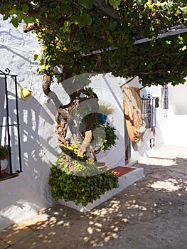 Mijas one of the most beautiful 'white' villages