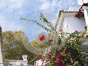 Mijas one of the most beautiful 'white' villages of Andalucia