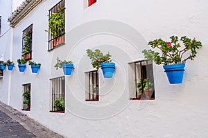Mijas town street lined with white washed walls and blue flower pots. Costa del Sol, Spain.
