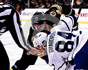 Mikhail Grabovski, Toronto Mapleleafs