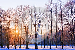 Mikhailovsky Garden in St. Petersburg in winter