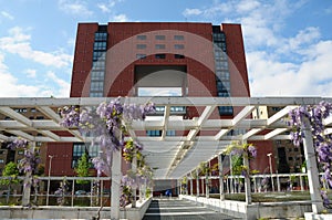 Milan -the Bicocca University at spring
