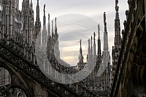 Milan Duomo rooftop