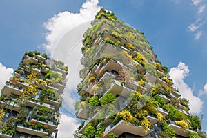 Milan vertical forest photo