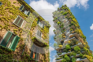 Milan vertical forest photo