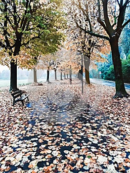 Milan Italy autunno session
