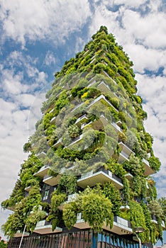 Milan vertical forest photo