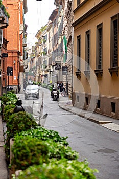 Via Montenapoleone is a high-class shopping district in Milan, Italy