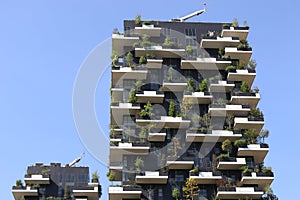 Milan,milano bosco verticale