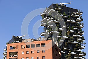 Milan,milano bosco verticale