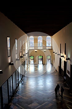 Milan State University inside