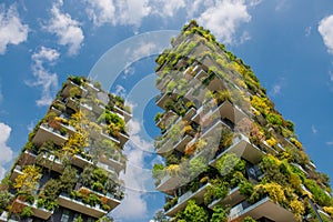 Milan vertical forest photo