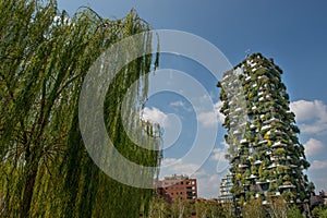 Milan vertical forest photo