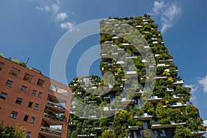 Milan vertical forest photo