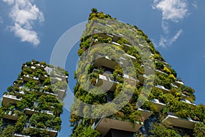 Milan vertical forest photo