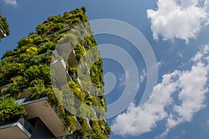 Milan vertical forest photo