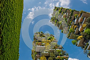 Milan vertical forest photo