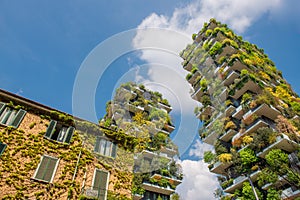 Milan vertical forest photo