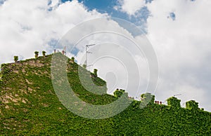 Milan vertical forest photo