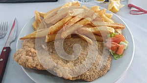 Milanesa dish with fried potatoes and salad.