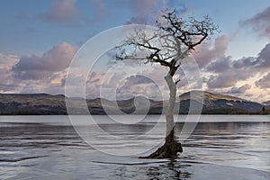 Milarrochy Bay high water sunset