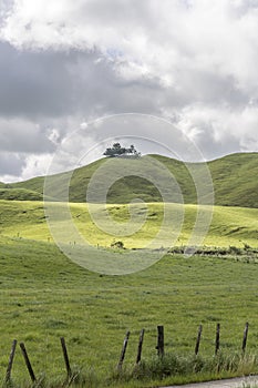 Mild curvy outlines in green countyside , near Whakarewarewa, Bay of Plenty, New Zealand