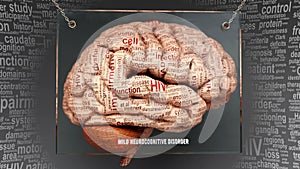 Mild neurocognitive disorder in human brain